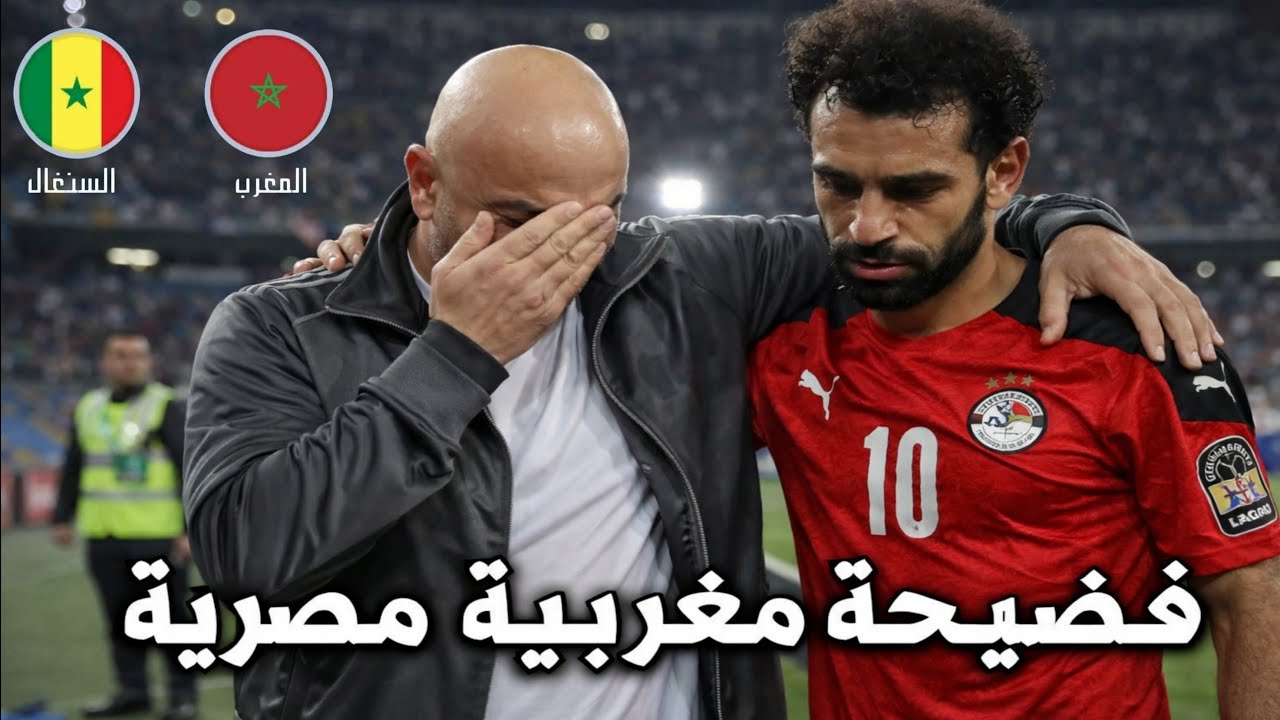 فضيحه المغرب والسنغال 🤔🤔