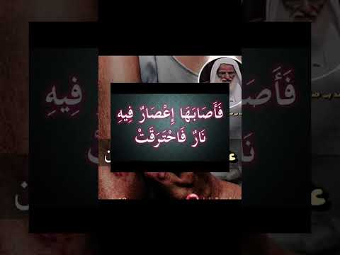 علاج الإكزيما أو الحزى بالقرءان العظيم فائدة جدا عظيمة ذكرها ابن عثيمين رحمة الله  فيصل هجاج
