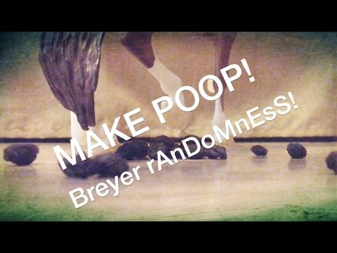 breyer-randomness-2.0-(most-extreme-randomsess-yet-thanks-for-150!)