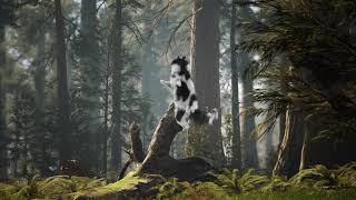 Utter - Jun Jao Official Visualizer