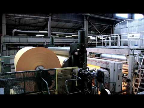 From Tree to Paper | How paper is made | The Office Supplies Supermarket