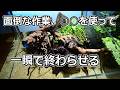 簡単にアクアテラリウムを作る方法を教えます【アクアリウム】