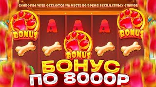 :     800.000         DOG HOUSE MEGAWAYS!!!