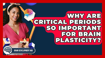 Why Are Critical Periods So Important For Brain Plasticity? - Brain Development Hub