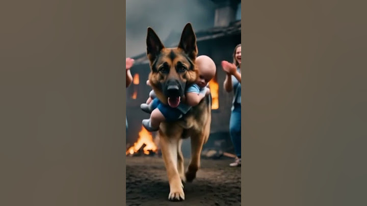 Dog rescued the baby from the burning house | #dogrescue #baby #trending #shortsfeed #shorts #ai