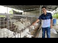 Ang SUCCESS sa GOAT DAIRY FARM ay nasa PUSO