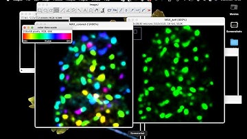 How to generate a temporal colour coded XY 2d microscope image in imageJ