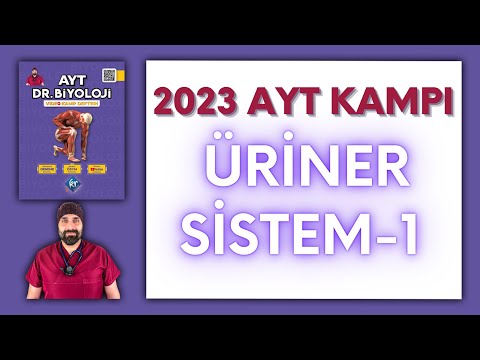 Üriner Sistemi-1 AYT Biyoloji Kampı Konu Anlatımı/ 11.Sınıf 2024 Tayfa