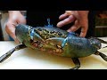 Japanese Street Food - GIANT MUD CRABS Crab Dumplings Chilli Okinawa Seafood Japan