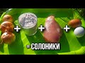 Куриное филе + лук + мука + яйца=? Удивительный рецепт на сковороде.