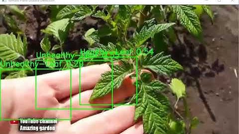 Plant Disease Detection Using YOLOv8