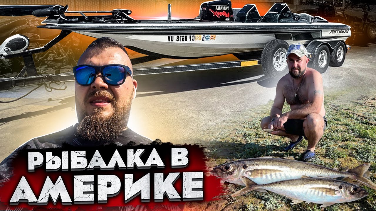 Директор витязь авто