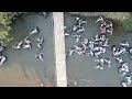 PAI Tubbing