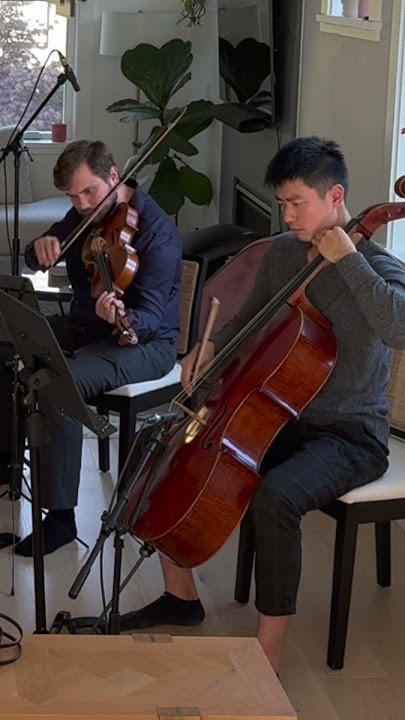 Dune on string quartet 🤯❤️‍🔥