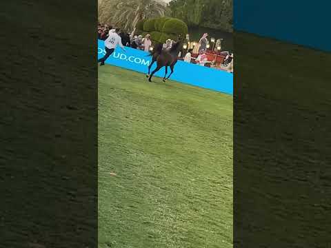 مربط المجد صادح الخالدية الفائزبالمركز٣بطولة العرض الدولي لخيول الجمال ٢٠٢١امهار٣سنوات خيول جمال