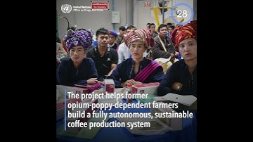 UNODC in 60 Seconds 28.11.2025