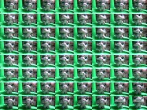 Fotofriend