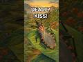 The Deadliest "Kiss" in Nature 💋