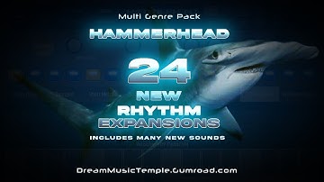 24 New HAMMERHEAD Rhythm Expansions || Demo