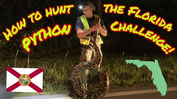 How to hunt the Florida Python Challenge!