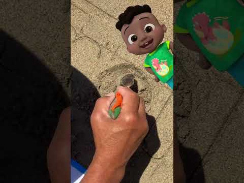 Melone am Strand! 🍉🏖️ Cocomelon Deutsch #Shorts