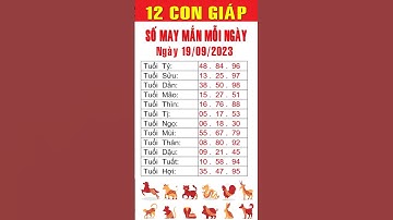 Con số may mắn ngày 19-09-2023 cho 12 con giáp #consomaymanhomnay #tailocmayman #xuhuong
