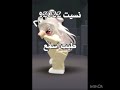 #roblox #اهميه #روبلوكس #شلتنا #اكسبلور #اعتني #لايك #النظافه #ترند #adoptme #mm2 #stumbleguys #ورك