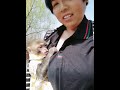 Look at baby monkeys hand lucky monkey 