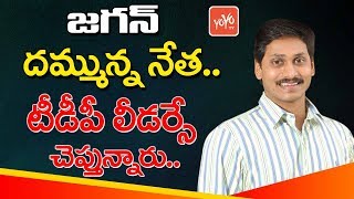 Jagan Is Dynamic Leader - TDP Leader Sai Pratap Praises YS Jagan - Jagan Padayatra | YOYO TV Channel