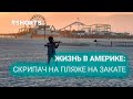 Жизнь в Америке. Скрипач на пляже. #shorts