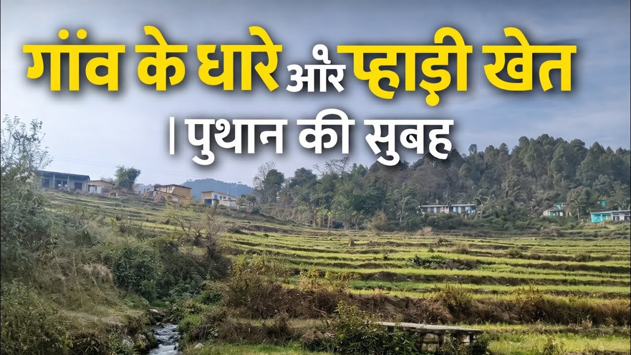 “गाँव के धारे और पहाड़ी खेत | पुथान की सुबह♥️ 