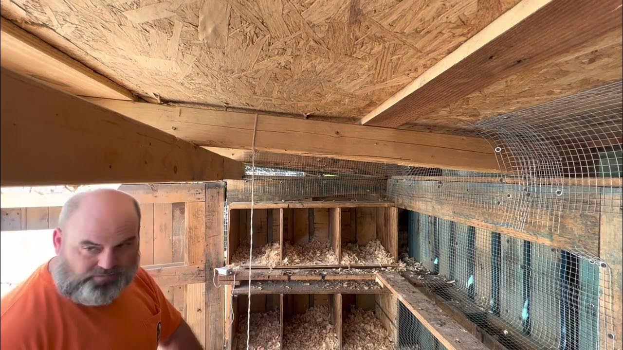 Chicken coop camera YouTube