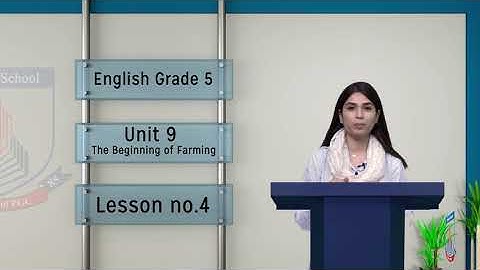 Class 5 - English Unit 9 - Lecture 4 sentences - Allied Schools