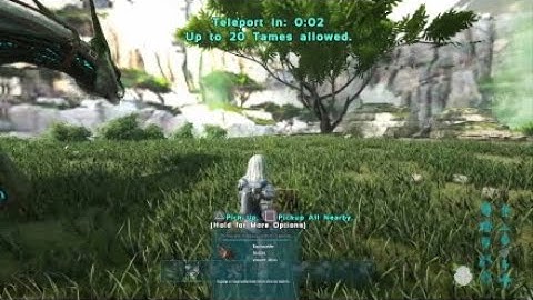 Mesh Valguero Border Method Official Ark