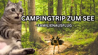 Katzen Memes: Campingausflug zum See #cat #katze #katzenvideos #meme