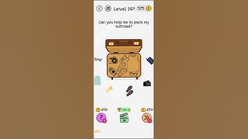 Can you help me to pack my suitcase / Braindom level 197 solution