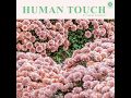 Daniel Romano – Human Touch /2018 CD Album/