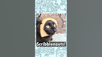 The Buttered Cat Paradox #nostalgia #scribblenauts #easteregg