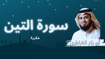 سورة التين مكررة القارئ أبو بكر الشاطري