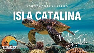 Isla Catalina Schnorchelparadies In Der Dominikanischen Republik Ausflug Ab Punta Cana Bayahibe