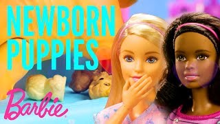 Newborn Puppies at the Pet Care Center | @Barbie