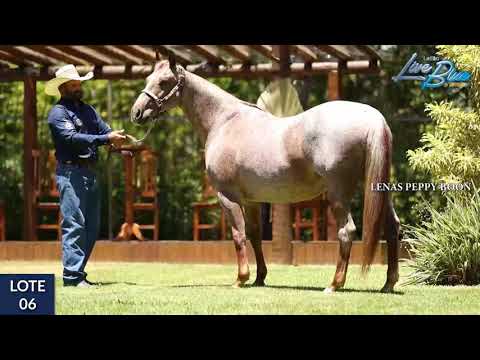 LOTE 06 - LENAS PEPPY BOON - LEILÃO LIVE BLUE