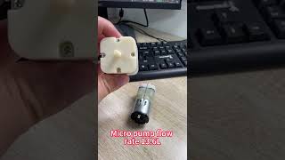 Micro Pump Flow Rate 13.6L Test