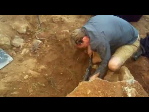 WATCH: Southern African Rock Python Captured