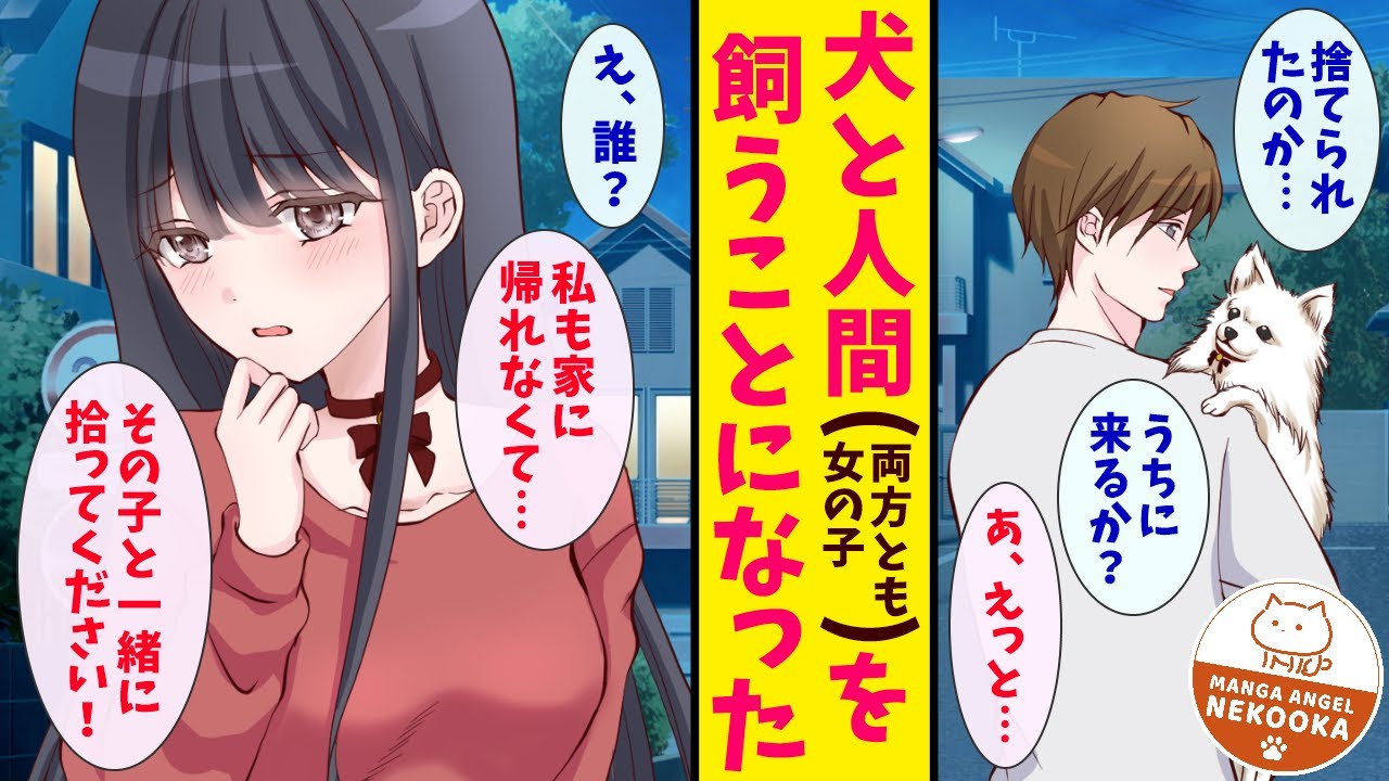 【漫画】迷子の犬を拾って飼い始めたら、飼い主の美女も一緒に飼うことになった。ペットの世話は慣れているが美女と同棲したことはないので対応に困る。