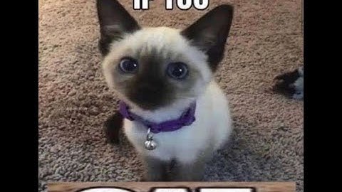 Plasma Doom Machine 100% (Rebeat) | Impossible Level