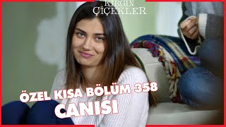 Kırgın Çiçekler Özel Kısa Bölümler | 358