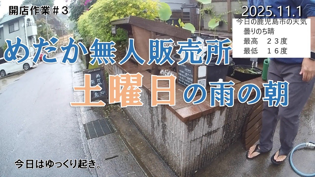 めだか無人販売所 開店準備 2025.11.1 - YouTube