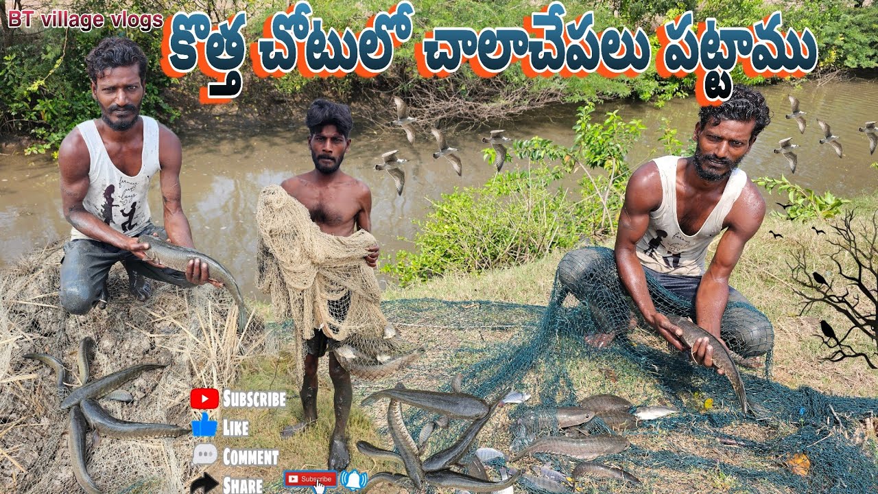 కొత్త ప్లేస్లో చాలాకోరమేళ్లు పట్టాము#dryfish #fish #villagevlog #hunting #prawnshunting #crabhunting