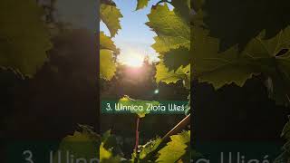 5 miejsc w Świętokrzyskim, które Cię zaczarują!